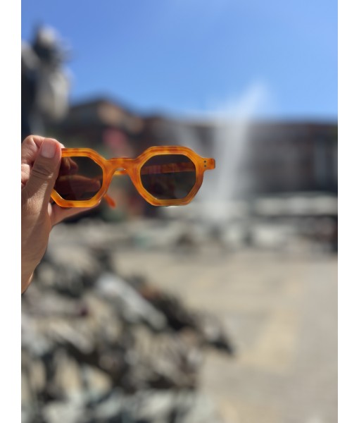 Selvin’s Sunglasses